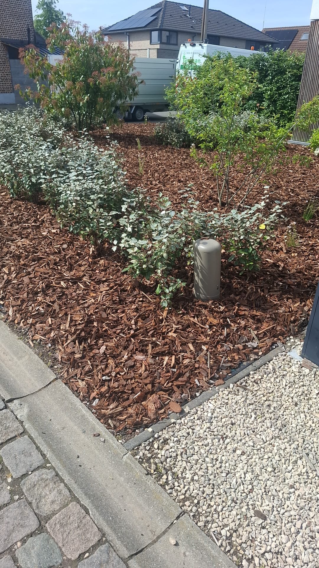 Nieuwe aanplanting langs de haag