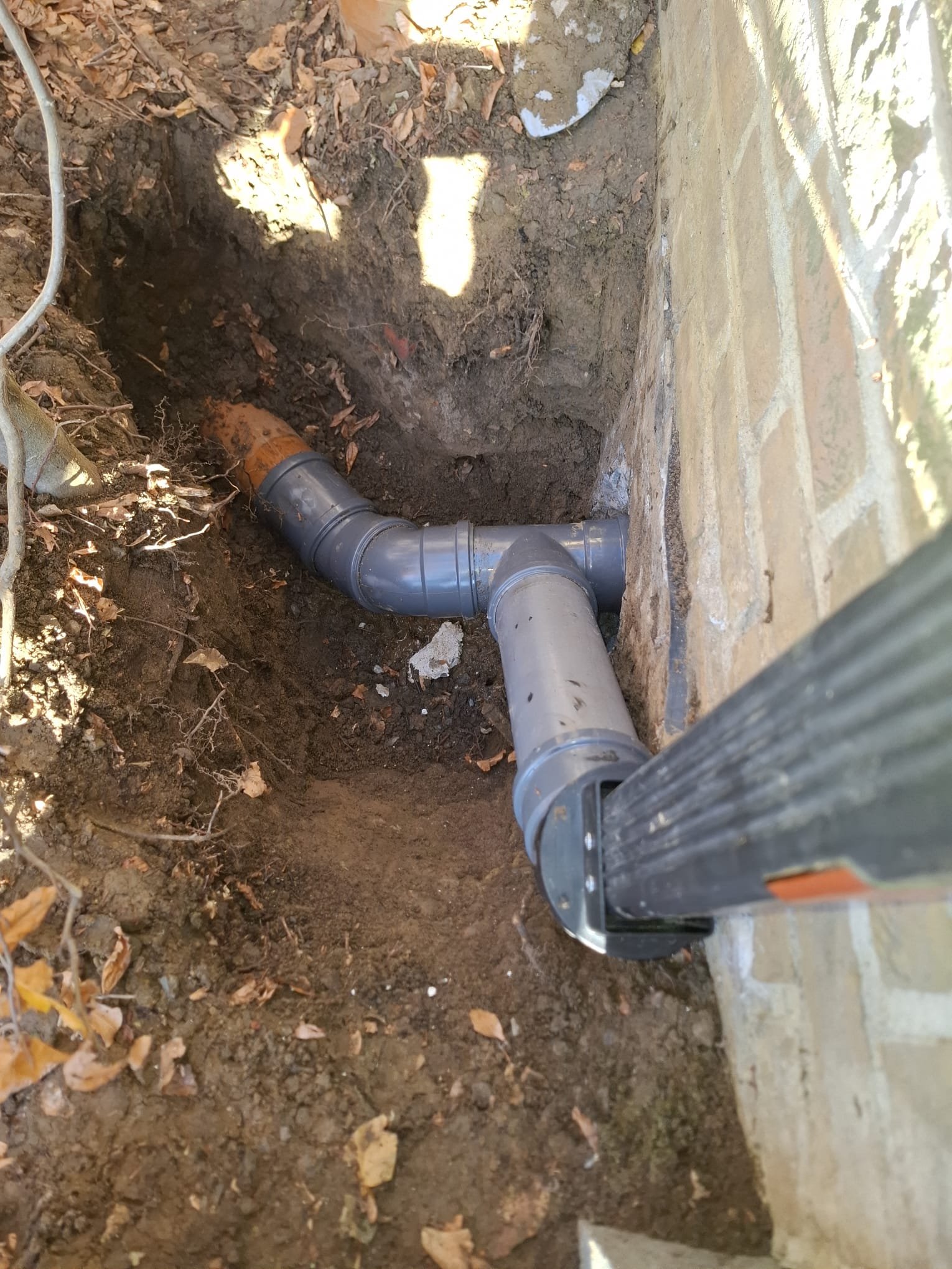 Afgewerkte tuin met strakke border
