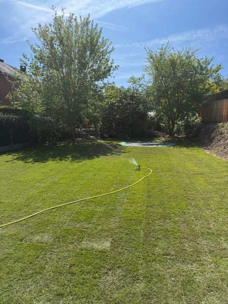 Fris gemaaid gazon in de tuin